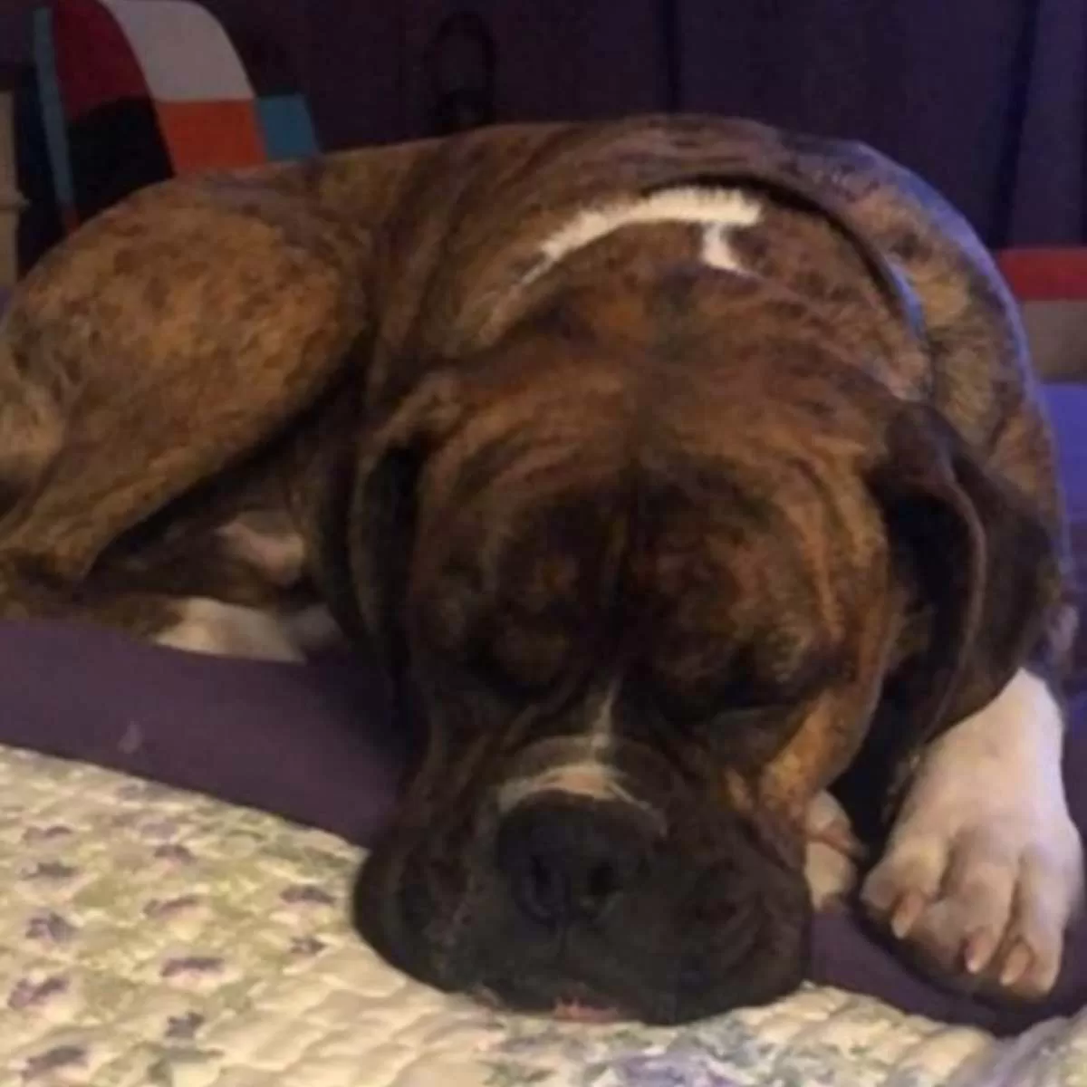 Diseño Sin Título (2)