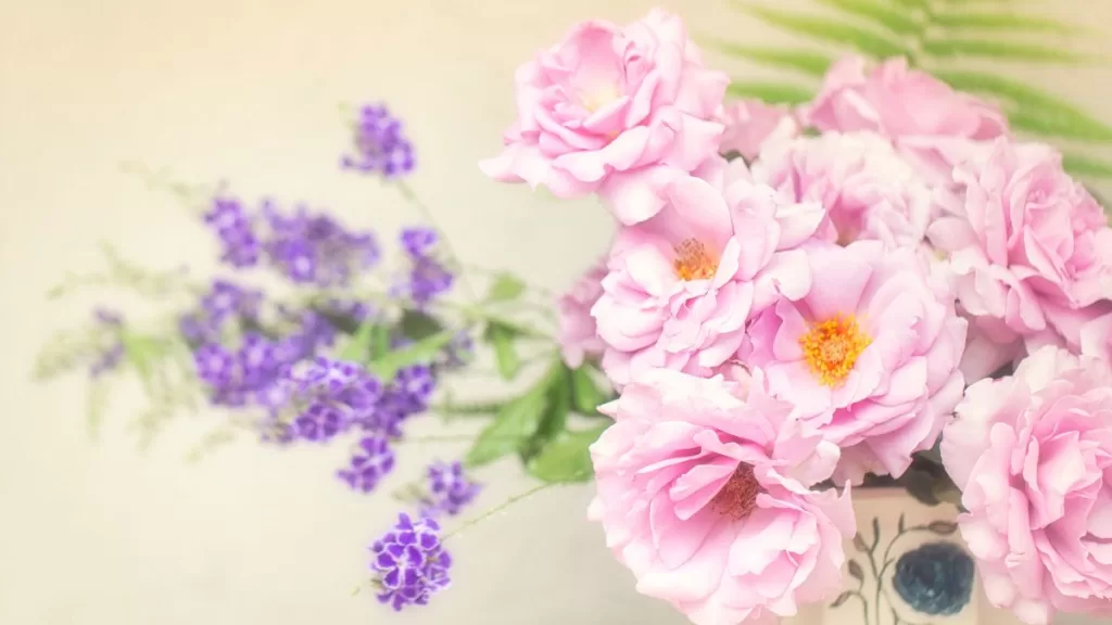 Flores Rosadas Feng Shui