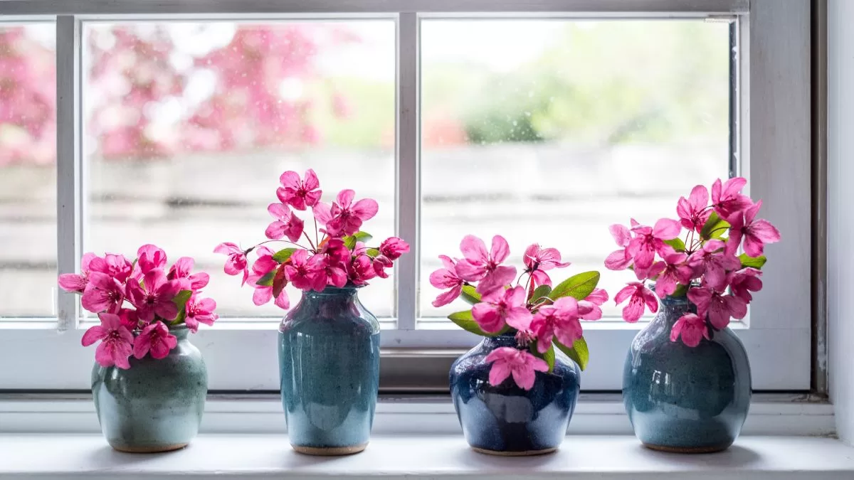 Flores Rosadas Feng Shui (2)