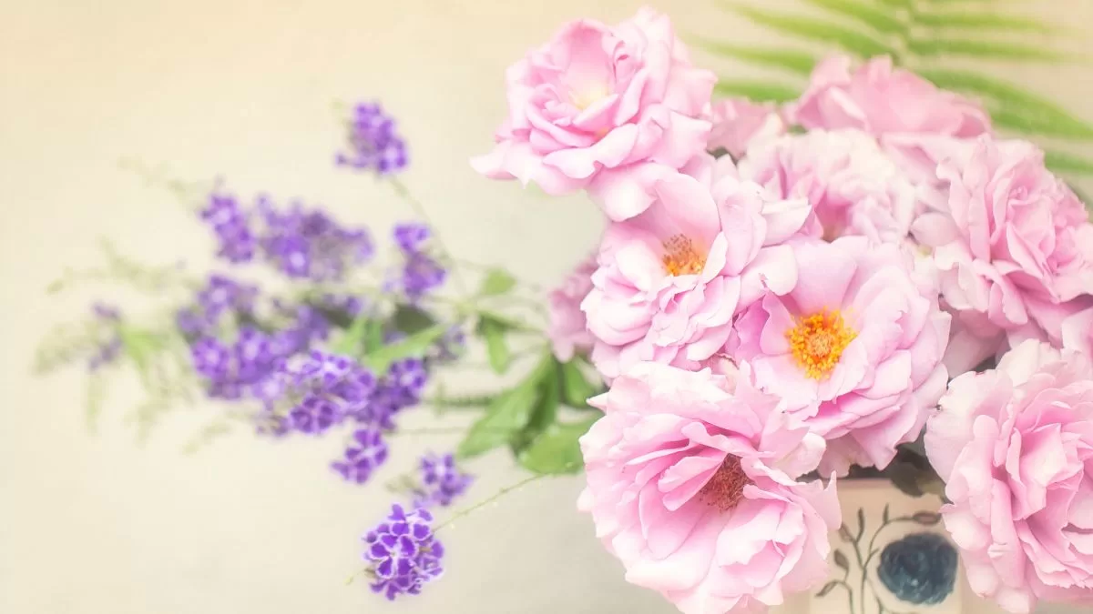 Qué significa poner flores rosadas junto a la entrada de tu casa, según experta en Feng Shui