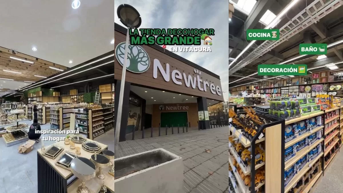 Newtree Vitacura (1)