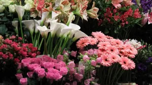 Red Floral: así funciona el primer marketplace de florerías que facilita la forma de comprar flores en Chile