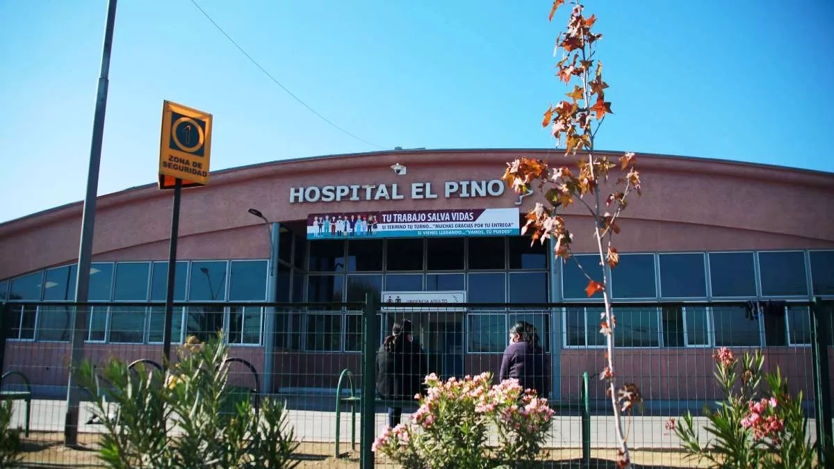 Qué es el hongo Aspergillus: la infección que obligó a cerrar pabellones del Hospital El Pino