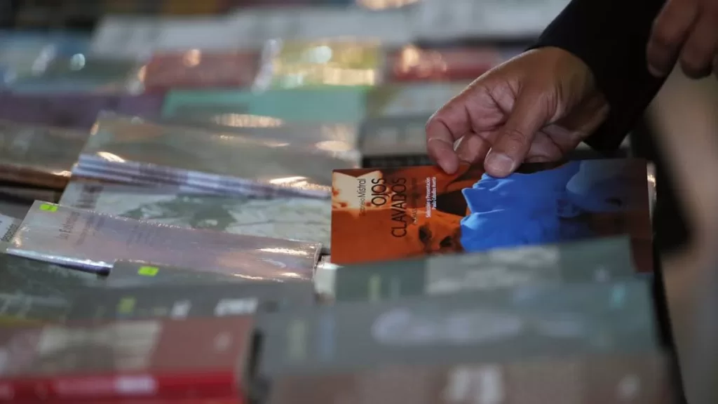 La Furia Del Libro 1