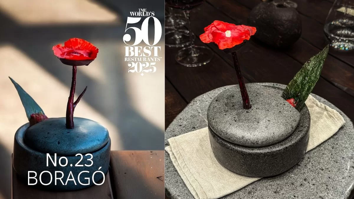 Boragó Restaurante (3)