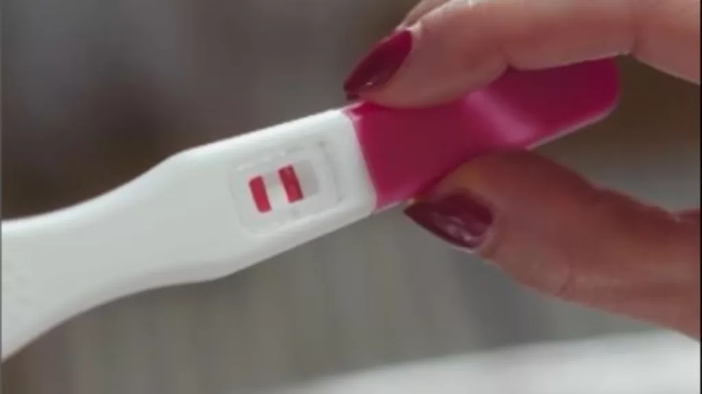 El Jardín De Olivia (1)