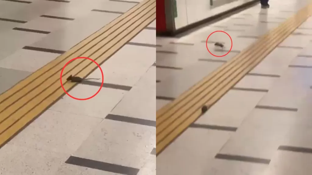 Metro De Santiago (1)