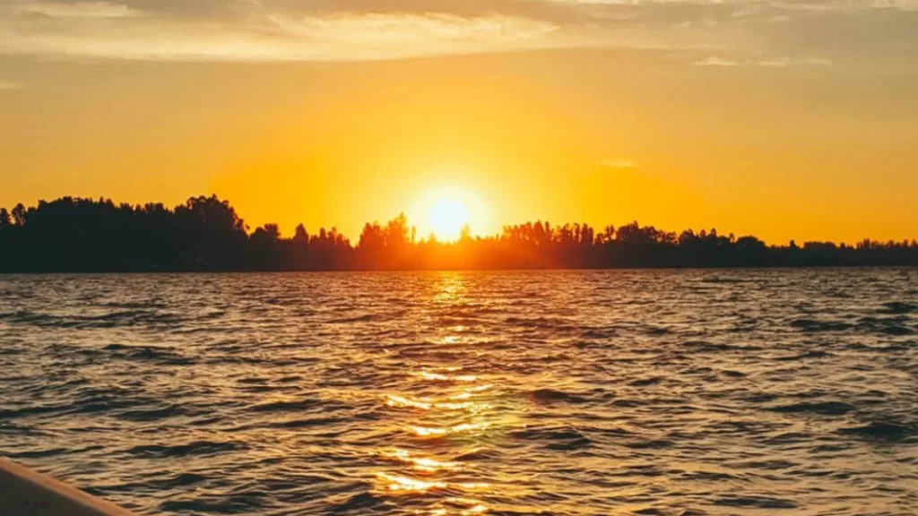 Panoramas Día Del Padre