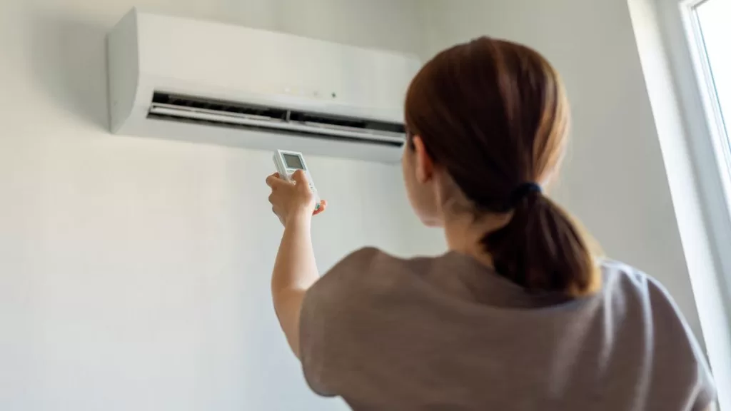 Programa De Recambio De Calefactores