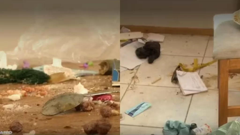 Úrsula Achterberg 2