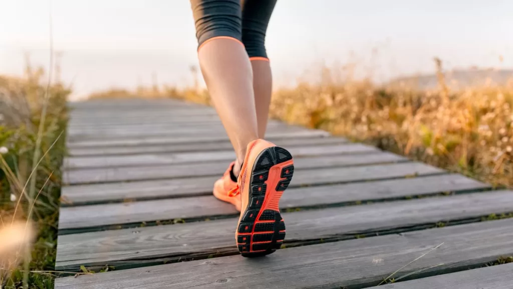 Cuántos Pasos Dar Al Día