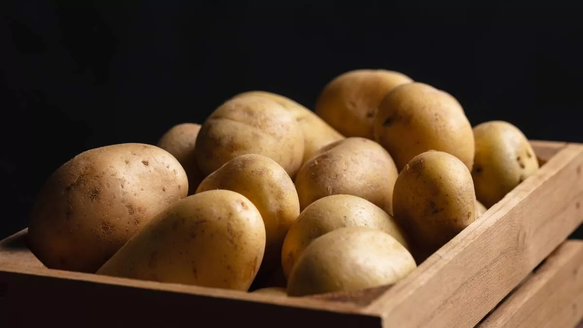 Vidrios Empañados (3)