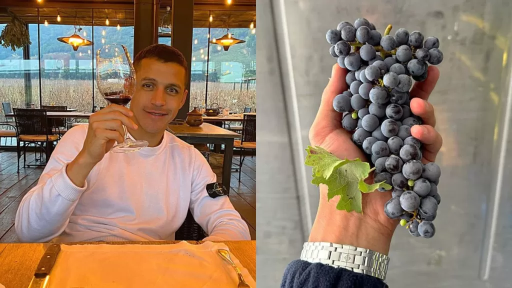 Alexis Sánchez Vino