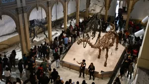 Más de 500 mil personas ya lo han visitado: el panorama GRATIS perfecto todas las edades en Santiago