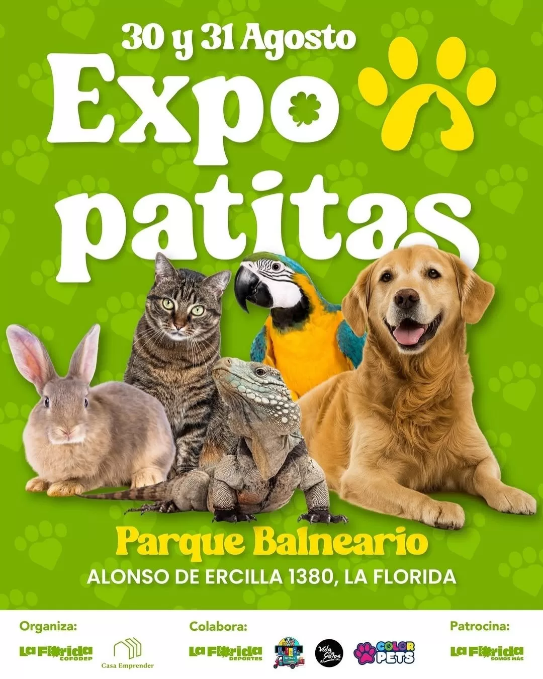 Panoramas La Florida (1)