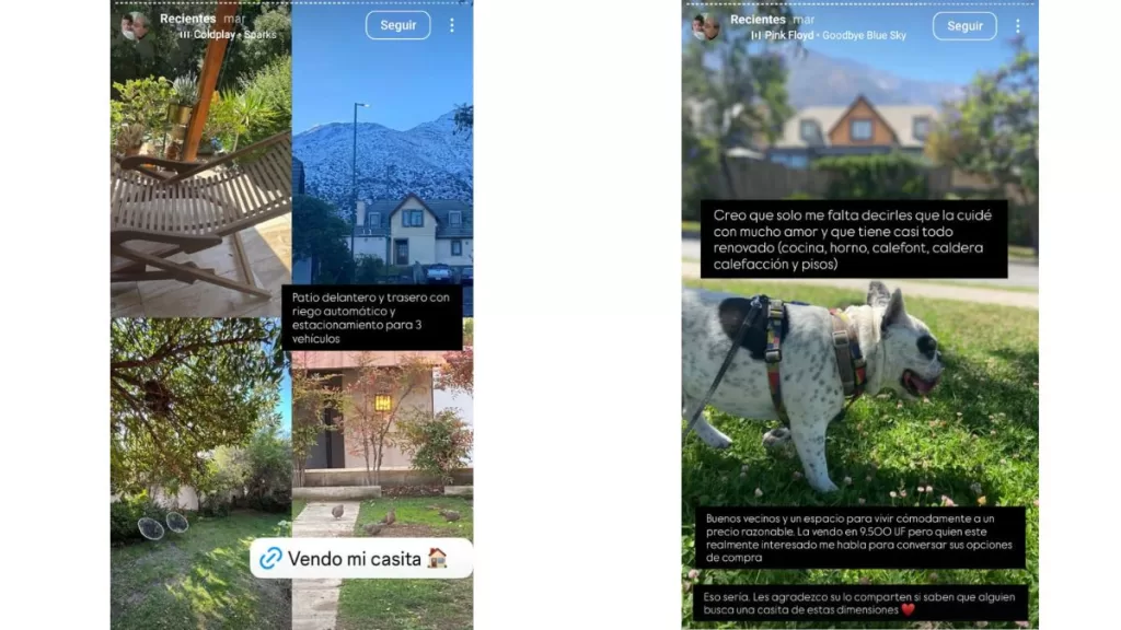 Denisse Malebrán  Casa7