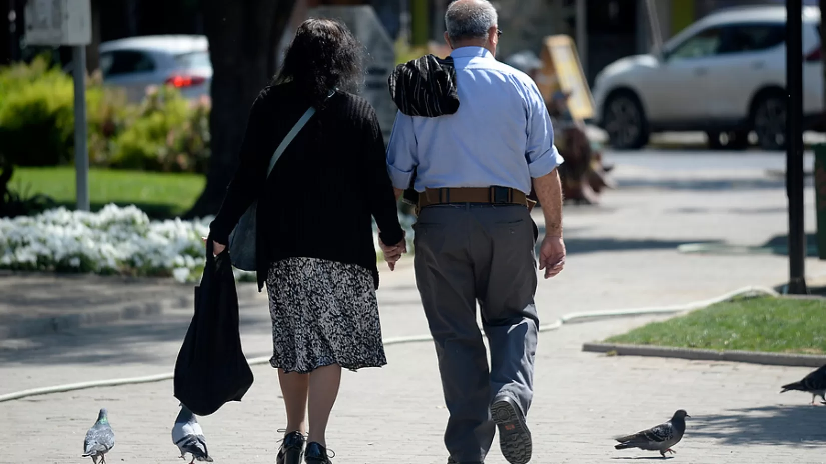 Adultos mayores pagan la mitad del pasaje en el transporte público: así puedes acceder al beneficio
