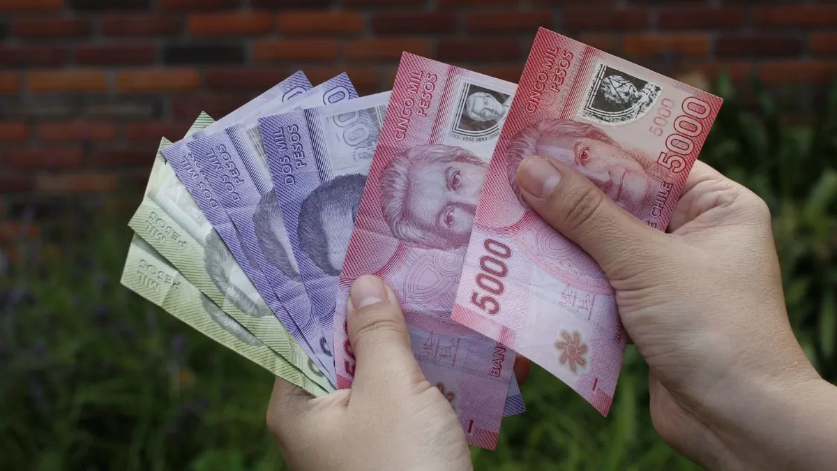 Bonos Para Mujeres (1)