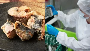 NO cometas estos errores: nutricionistas revelan cómo identificar el "falso jurel" tras alerta de la Seremi de Salud