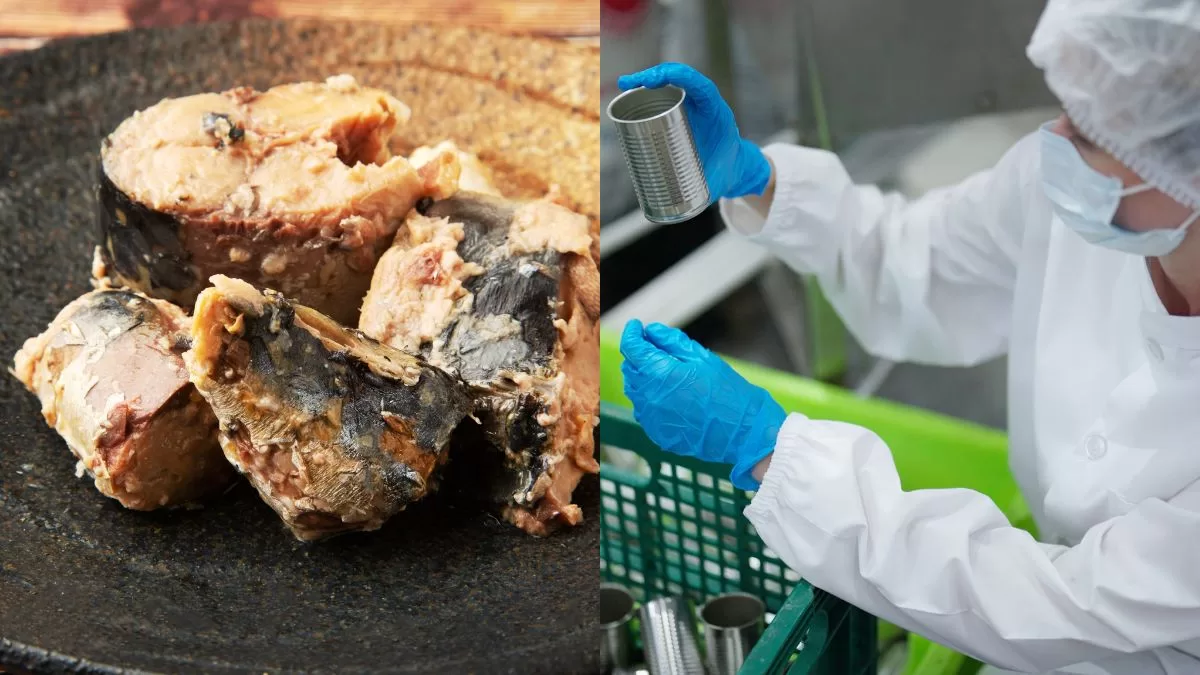 NO cometas estos errores: nutricionistas revelan cómo identificar el "falso jurel" tras alerta de la Seremi de Salud