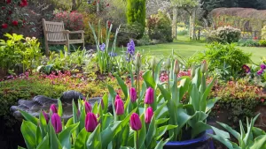 La planta que por ningún motivo deberías tener en tu jardín o balcón, según el Feng Shui