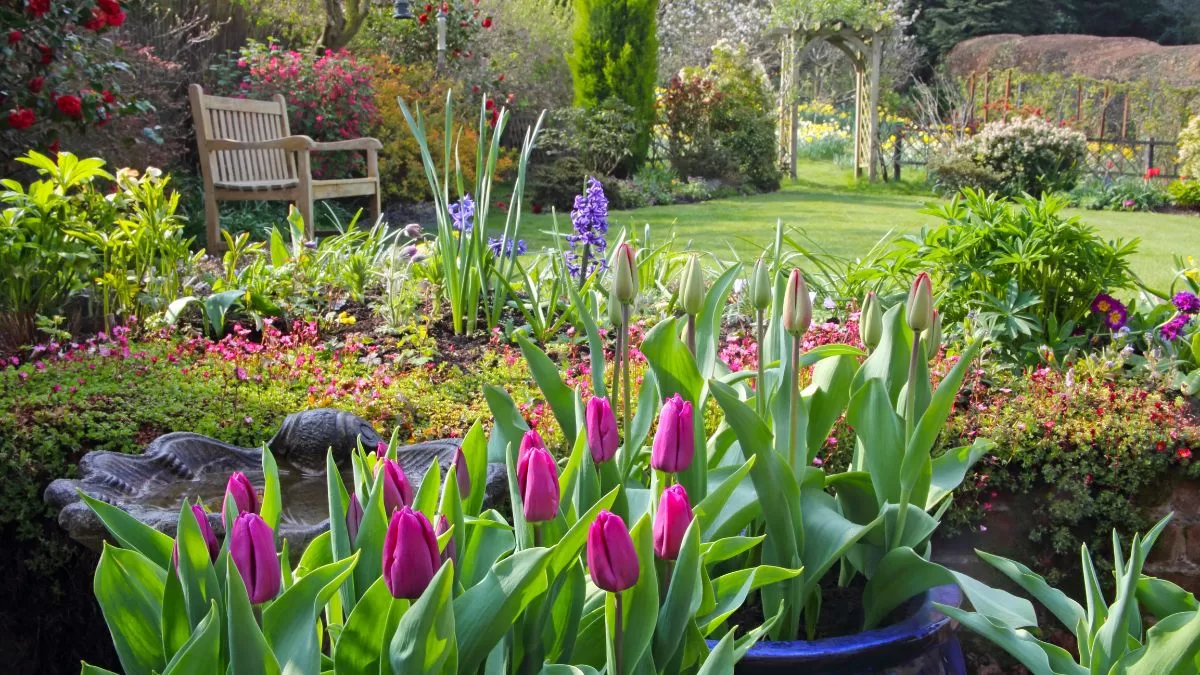 La planta que por ningún motivo deberías tener en tu jardín o balcón, según el Feng Shui