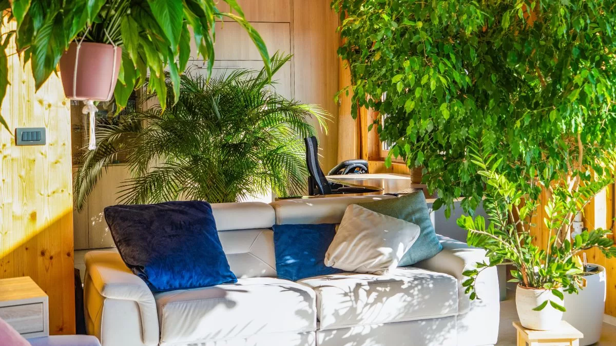 La planta que NO debes tener en el living, según el Feng Shui: provoca sensación de tristeza y cansancio