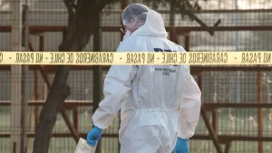 Aterrador hallazgo fue registrado en fundo de Limache: "Data de muerte aproximada de uno a tres meses"