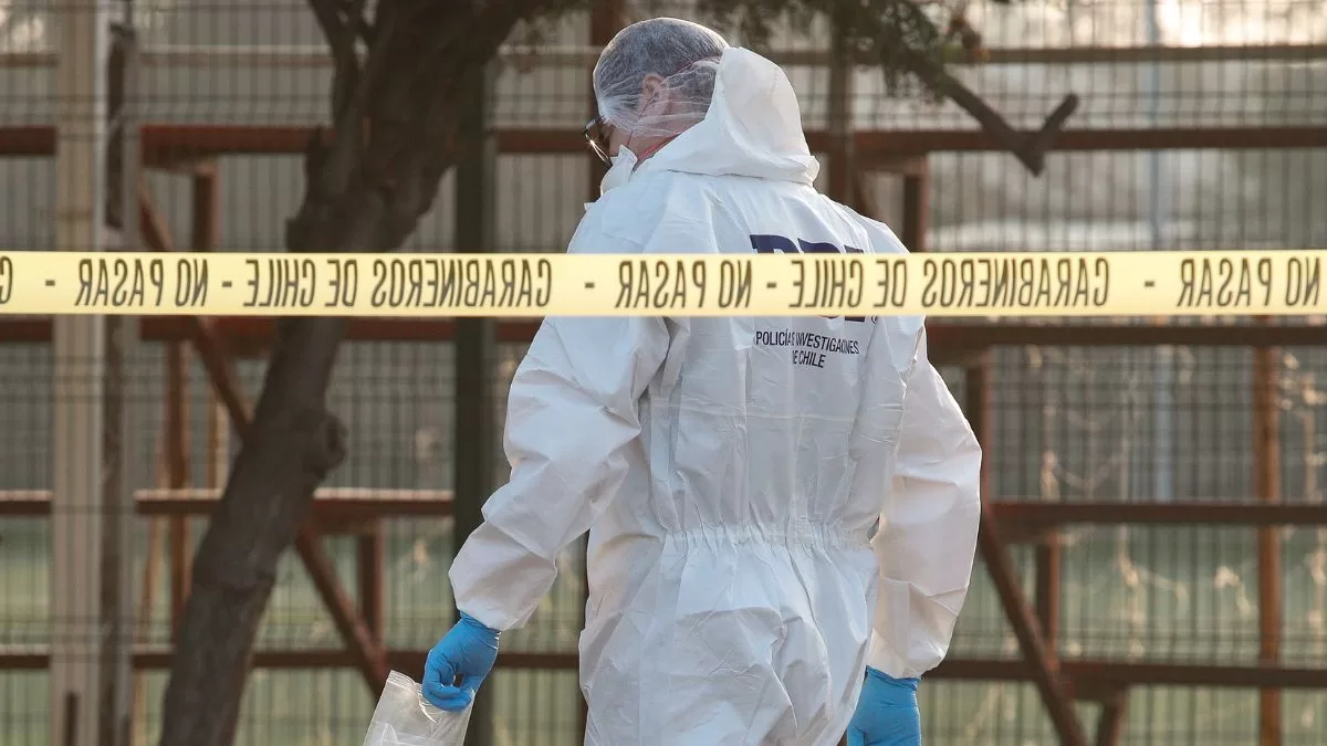 Aterrador hallazgo fue registrado en fundo de Limache: "Data de muerte aproximada de uno a tres meses"