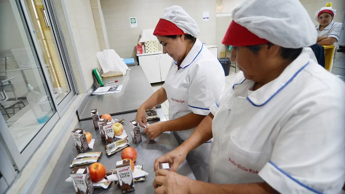 Manipuladoras De Alimentos (1)