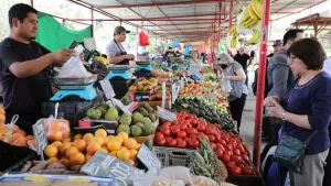 MINSAL enciende las alarmas y revela cuál es la fruta que está en la mira de Chile por posible contaminación