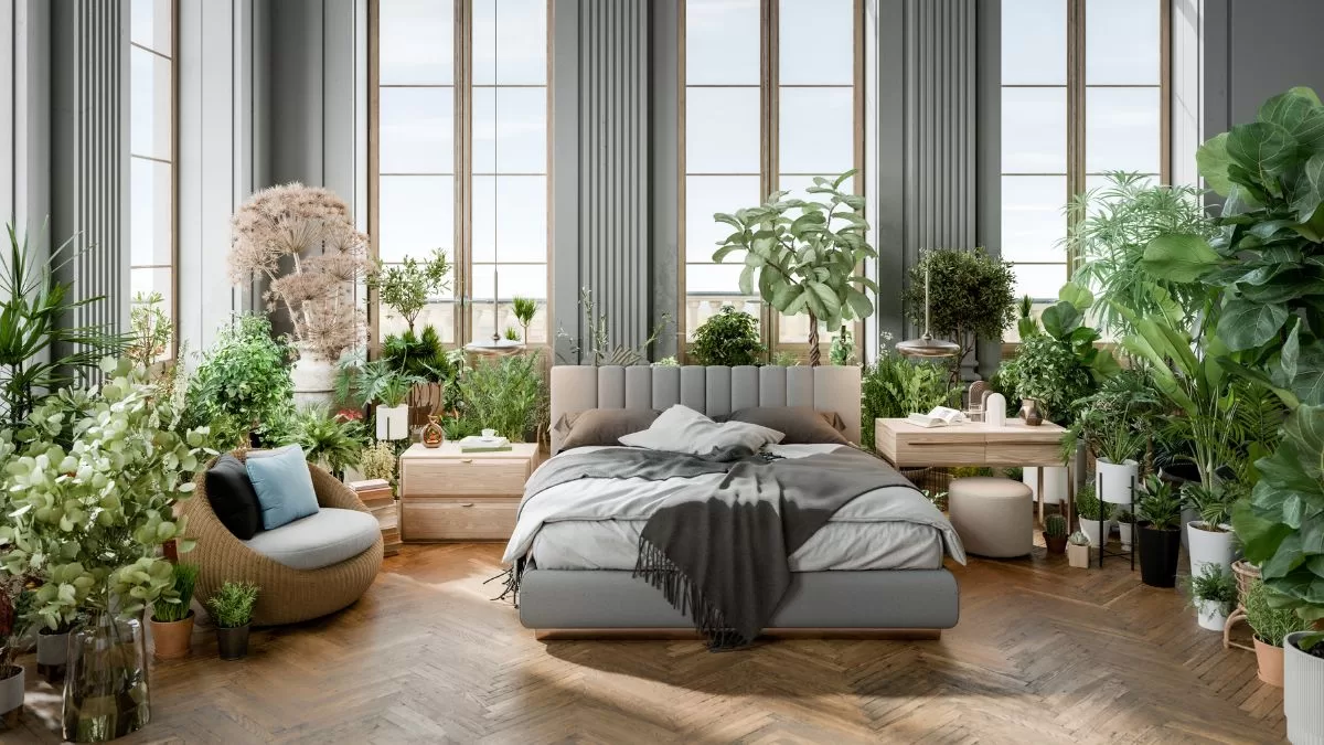 Planta Feng Shui (6)