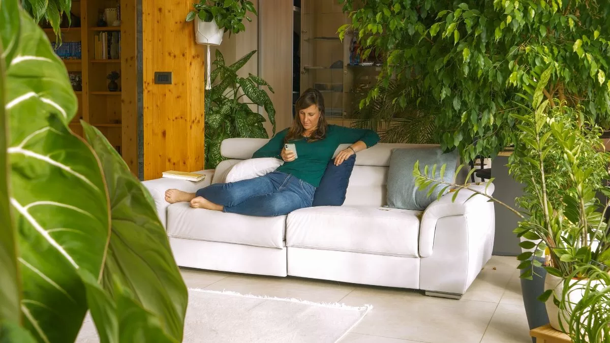 Tres plantas que NO deberías tener en casa, según el Feng Shui: podrían generar sensación de fatiga y tristeza