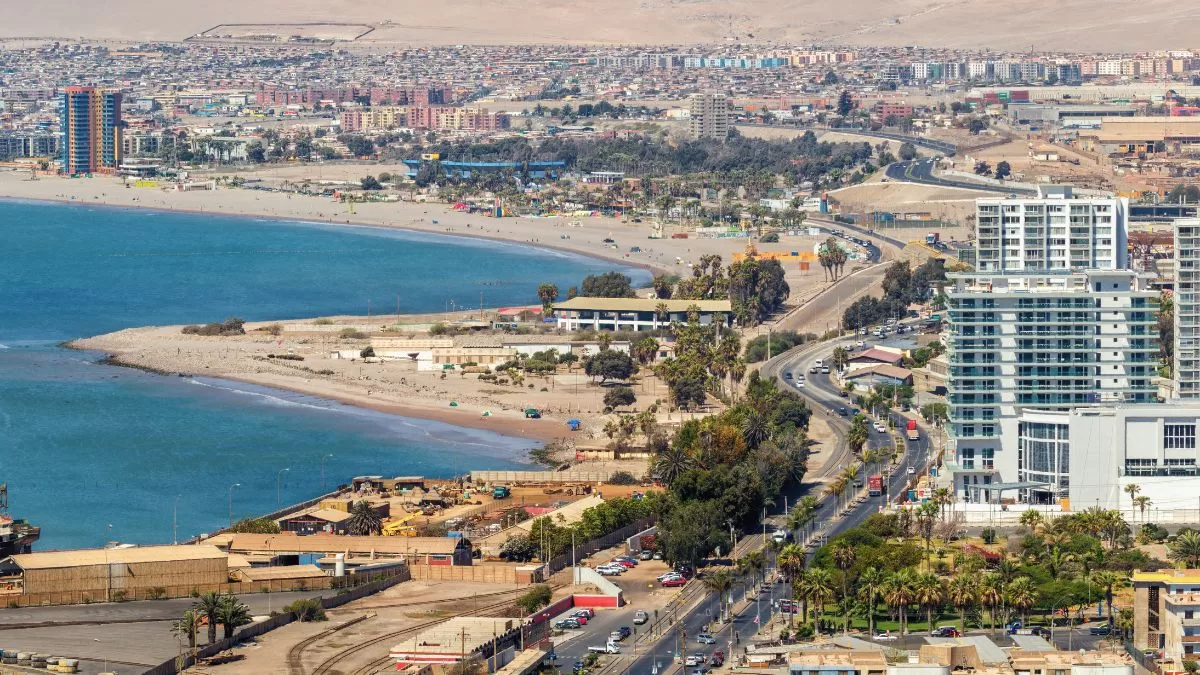 Científicos confirman la presencia de peligrosa especie en las costas chilenas: "Silenciosa, venenosa y esquiva"