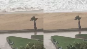 Muestran cómo quedó el sector costero de Viña del Mar tras las intensas lluvias y fuertes olas