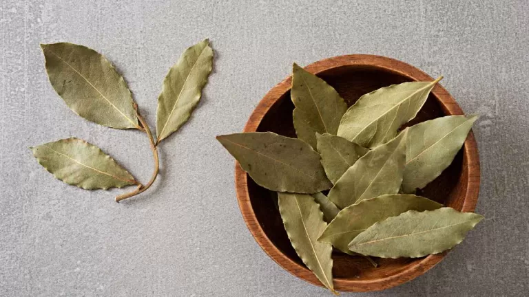 Este es el ritual perfecto para atraer el dinero en agosto, según el Feng Shui: ¿cuándo y cómo hacerlo?