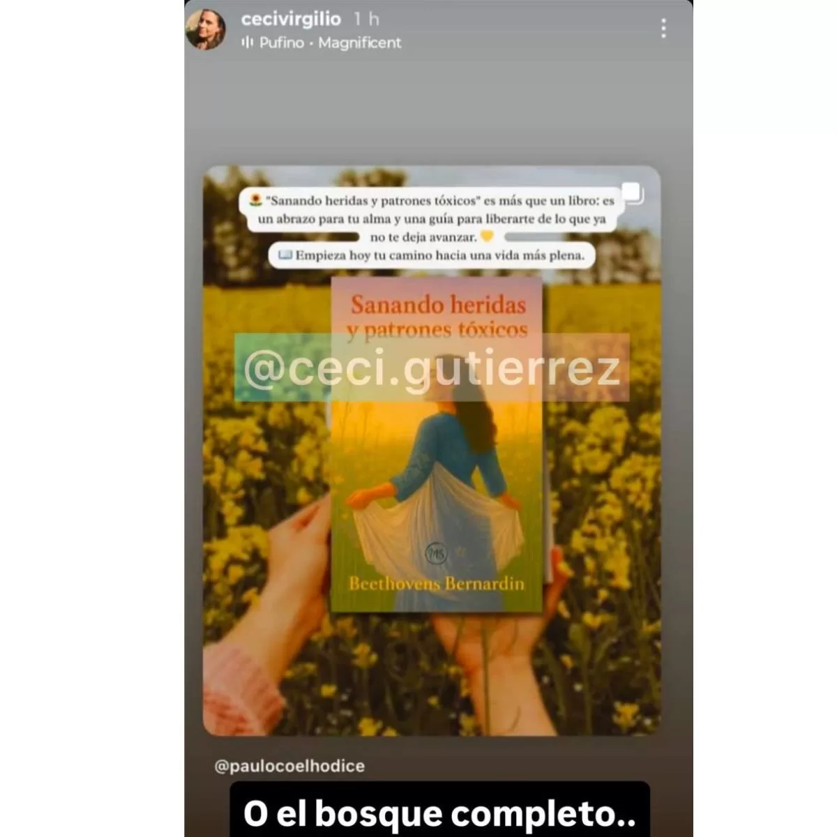 Madre Fran Virgilio (2)