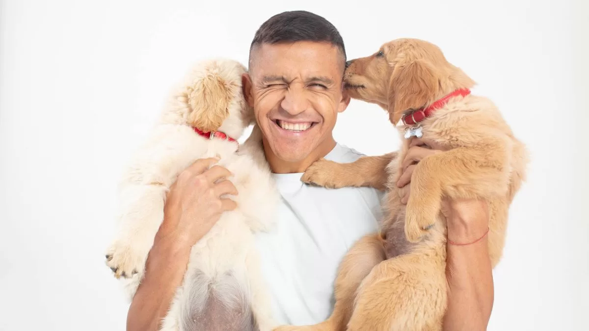 ¿Sabes en qué etapa de su vida está tu perro? Aprende a reconocerla y alimentarlo mejor