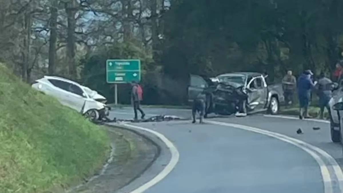 Muere la reconocida "Barbie narco chilena" junto a sus dos hijos tras fatal accidente en Frutillar