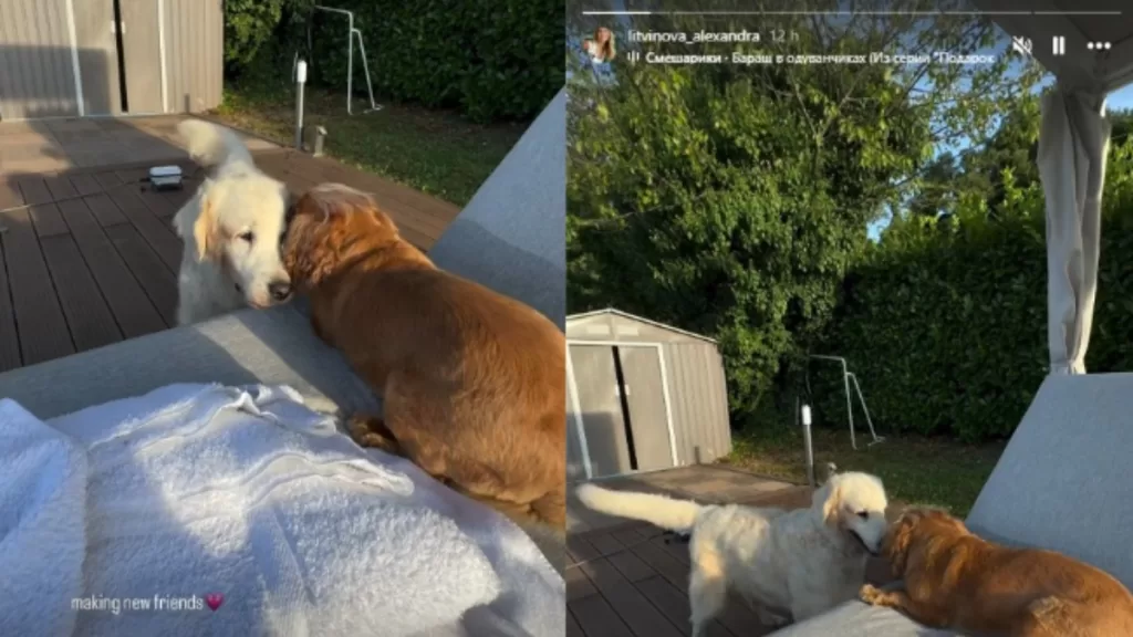 Pareja Alexis Sánchez 1