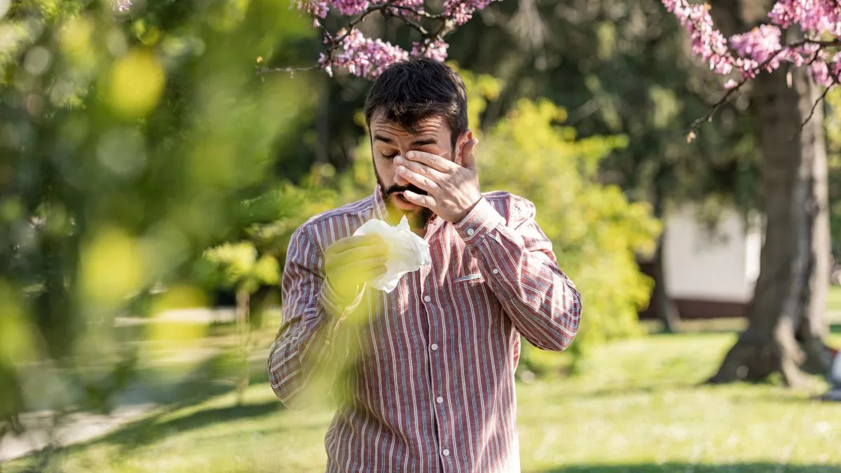 Alergias De Primavera (1)