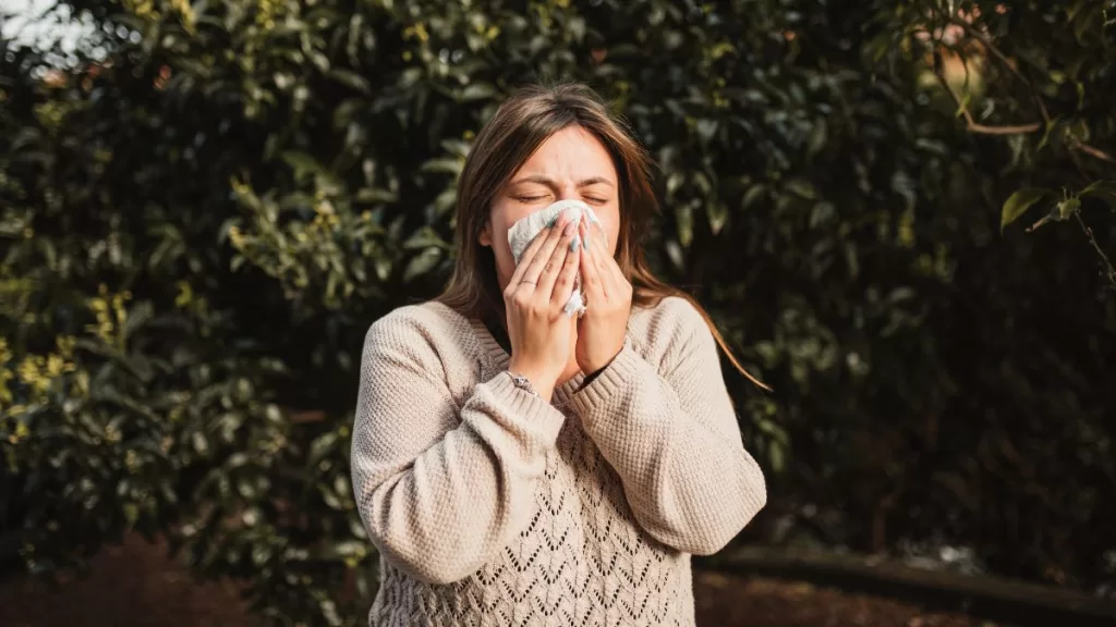 Alergias De Primavera