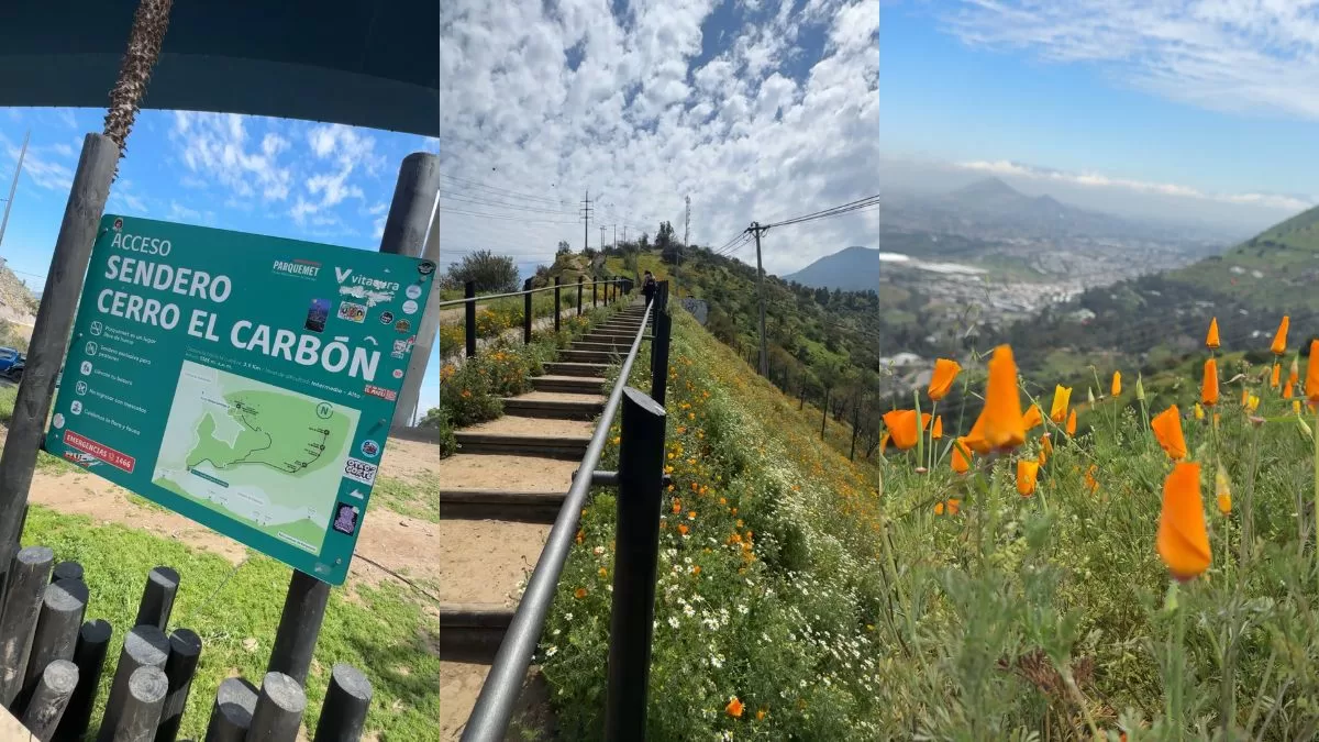 Cerro El Carbón (1)