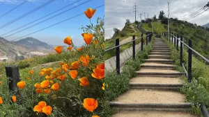 Está a menos de 30 minutos del centro de Santiago: el panorama GRATIS que todos están visitando por un increíble motivo