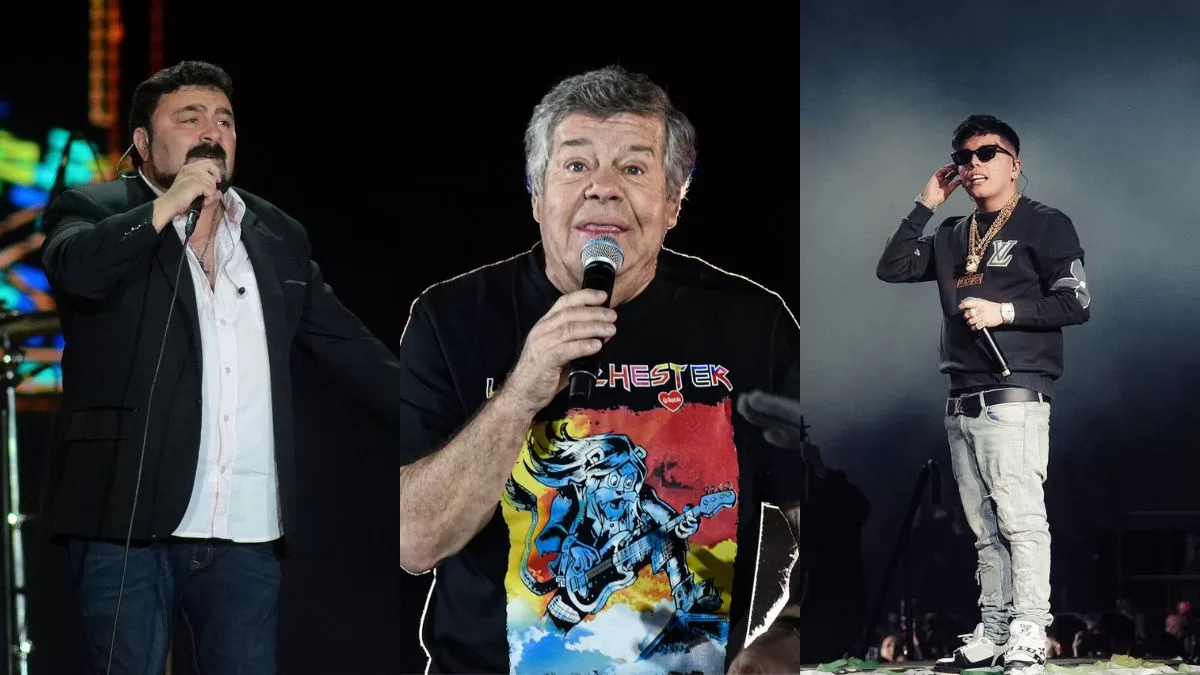 Fondas Del Parque O'Higgins (1)