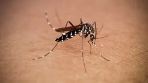 Muere querida actriz a los 28 años tras ser picada por un insecto: "Nunca volvió a despertarse"