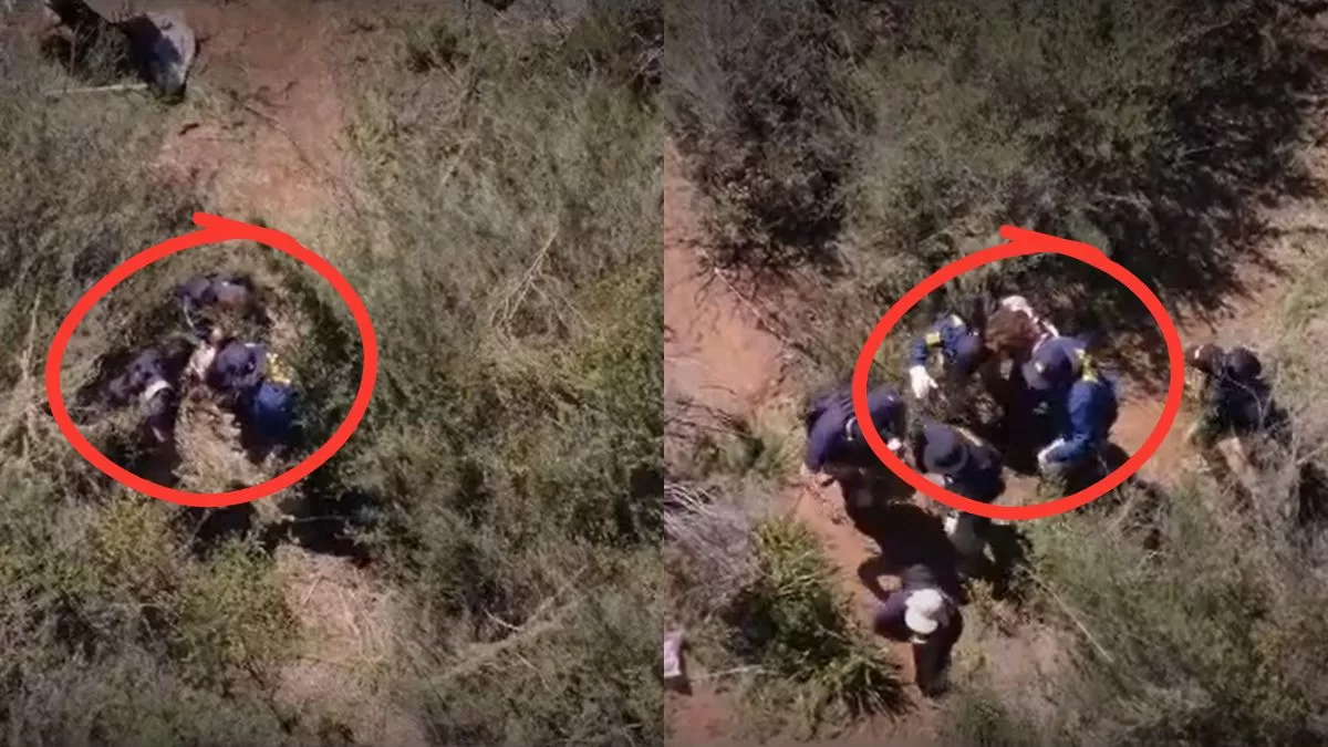 Mujer Desaparecida (1)