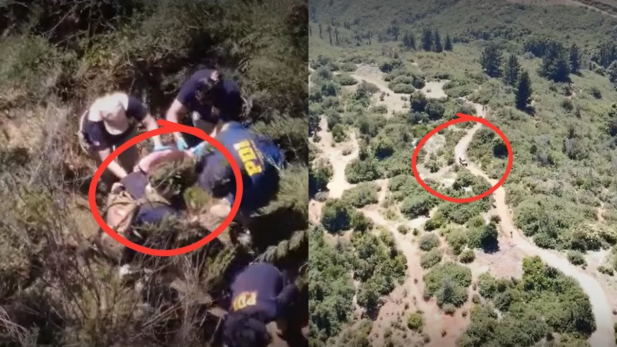 Mujer Desaparecida (2)