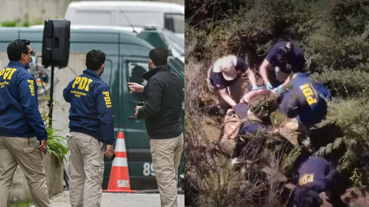 Mujer desaparecida fue encontrada viva en la Región de Valparaíso: "La señora estaba bajo unos arbustos"