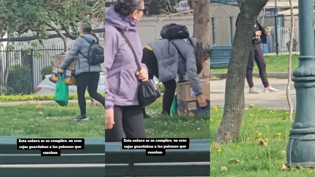 Palomas Restaurante (1)